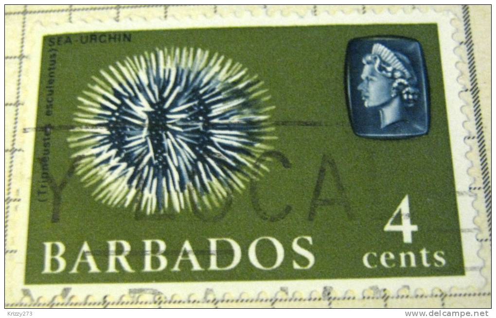 Barbados 1965 Sea Urchin 4c - Used - Barbados (...-1966)