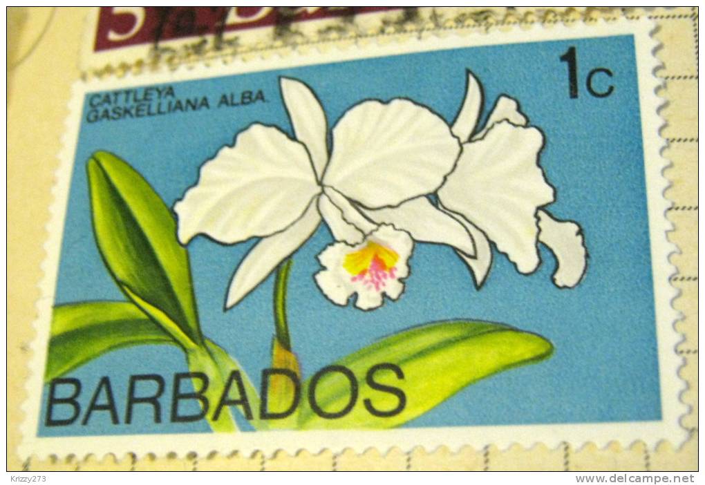 Barbados 1974 Cattleya Gaskelliana Alba Orchid 1c - Mint - Barbados (1966-...)