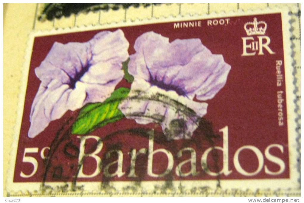 Barbados 1970 Flower Minnie Root 5c - Used - Barbados (1966-...)