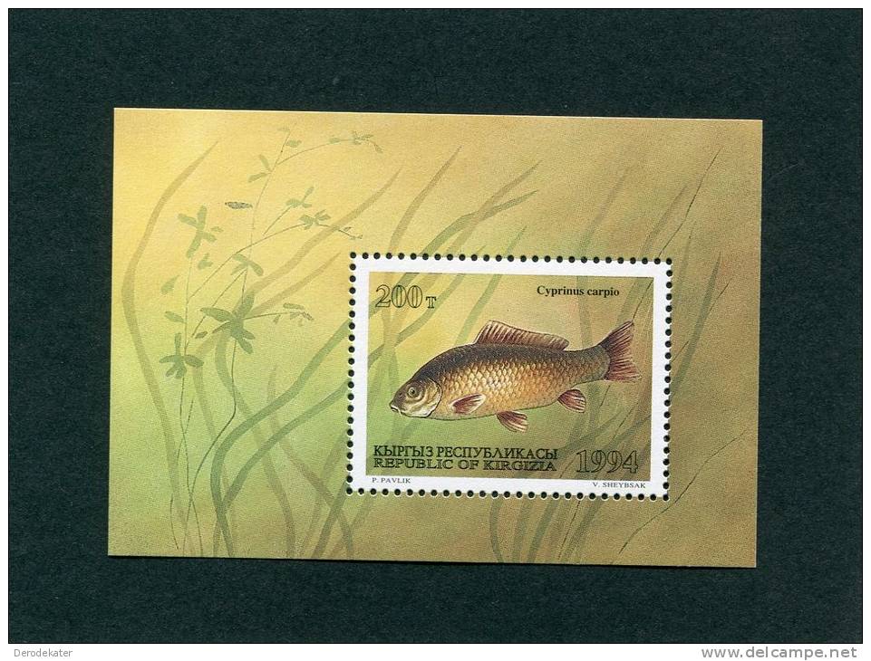 Republic Of Kirgizia 1994.Cyprinus Carpio.s.MNH**.Poisson.Polissons.Peces.Pescado.Fish.Fishes.Sealife.Animals. Karper. - Kirghizstan