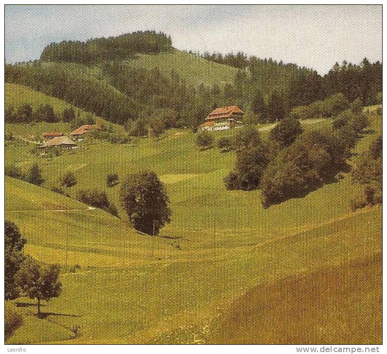 HALDENHOF Gasthof Pension Neuenweg Südl. Schwarzwald Belchen 1973 - Loerrach
