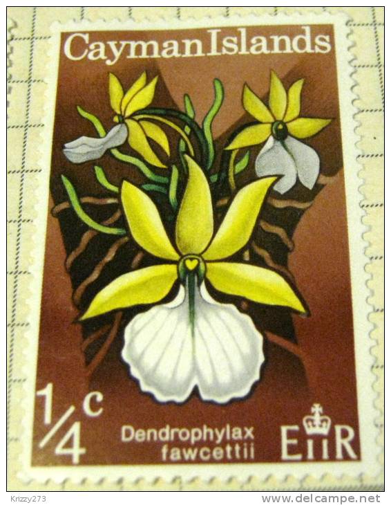 Cayman Islands 1971 Flower Dendrophylas Fawcettii 0.25c - Mint - Caimán (Islas)
