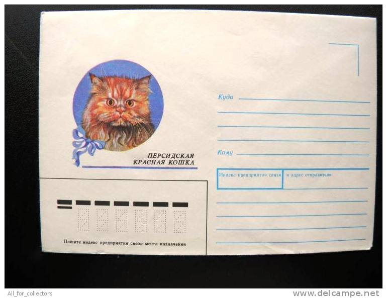 Cover From USSR, Animal Fauna Domestic Cat - Cartas & Documentos