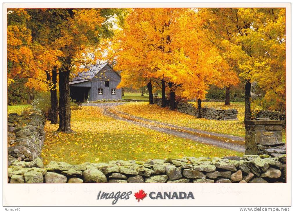 Cp , CANADA , Un Paysage D'automne Dans L'Est Du Canada - Moderne Ansichtskarten