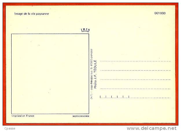 CPM Image De La Vie Paysanne (Paysan Lait Ferme) * Ed. Cap Theojac 001000 Photo J. F. Téoulé - Andere & Zonder Classificatie