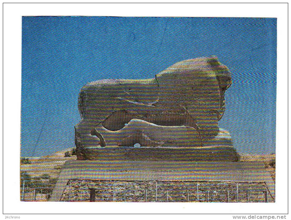 Iraq: The Lion Of Babylon, Hilla (12-3260) - Iraq