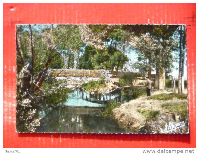 V7-89-yonne-neuvy-sautour-le Pont Dela Mousseline Sur L'armance-pecheur-carte Photo--beau Timbre - Neuvy Sautour