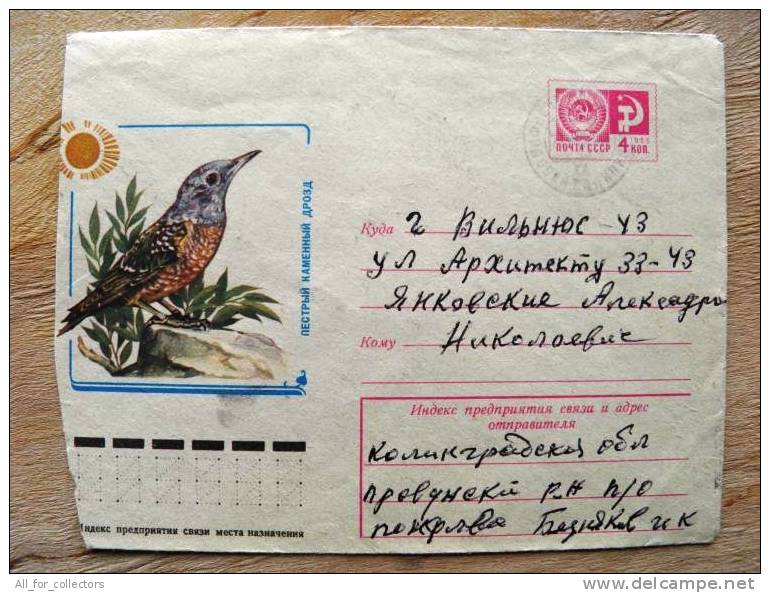 Cover Sent From Russia To Lithuania, USSR, Animal Bird Oiseaux - Lettres & Documents