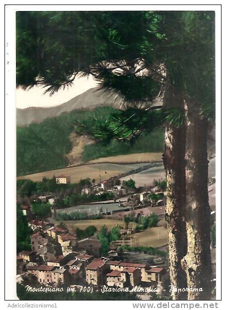 59042)cartolina Illustratoria Località Di Montepiano , Staz. Climatica E Panorama - Prato