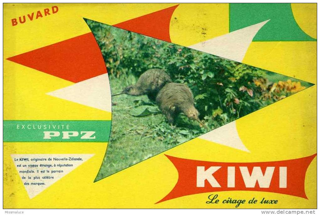 Buvards Kiwi - Scarpe