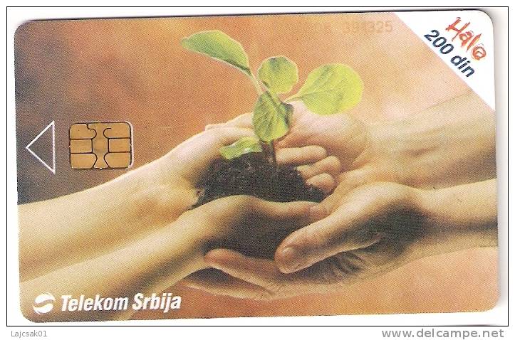 SERBIA 100.000 / 06.2004.  Environment - Yugoslavia