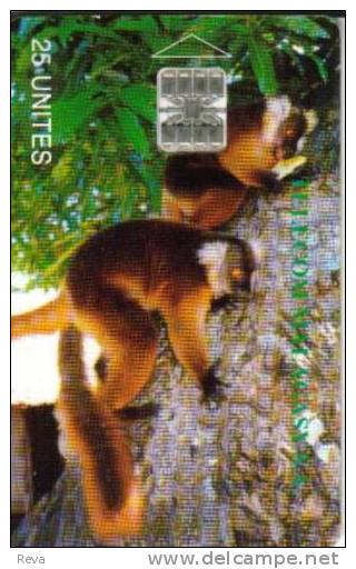MADAGASCAR 25 U LEMUR ANIMAL 1ST CARD CHIP MDG-01 READ DESCRIPTION CAREFULLY !! - Madagascar