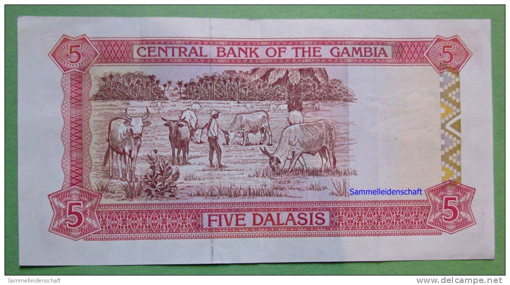 Geldschein Banknote Gambia 1991-95 Five Dalasis  Papermoney. - Gambia