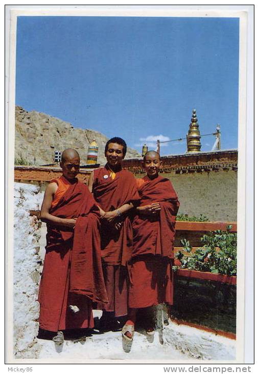 Lamas At Hemis Gompa--LADAKH--KASHMIR-- - Buddhism