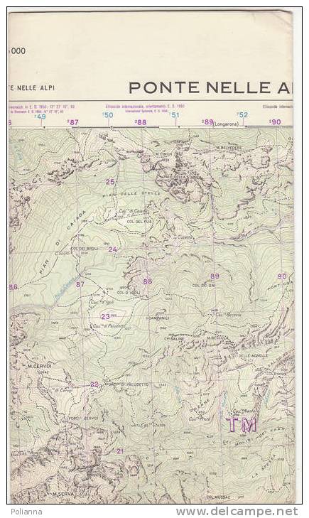 PAU#Y39 MAP - CARTINA Uso MILITARE - PONTE NELLE ALPI  IGM 1969 - Topographical Maps