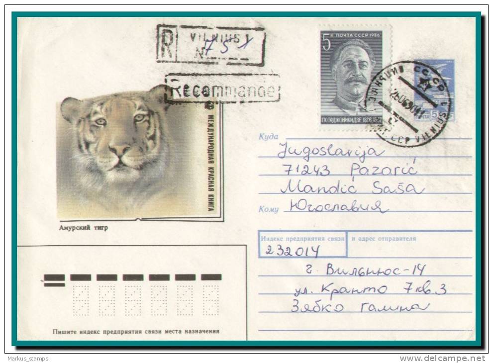 1990 Lithuania, Siberian Tiger Stationery Cover, Ex-USSR Uprate Franking, Vilnius Cancel To Yugoslavia - Litauen