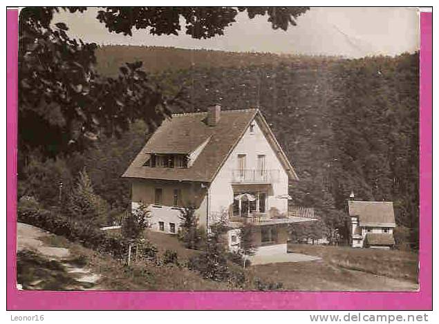 BAD HERRENALB  -     * HAUS CHRISTEL" IM WIESENGRUND 15      -   Verlag :  Gbr. METZ   N°623/917 - Bad Herrenalb