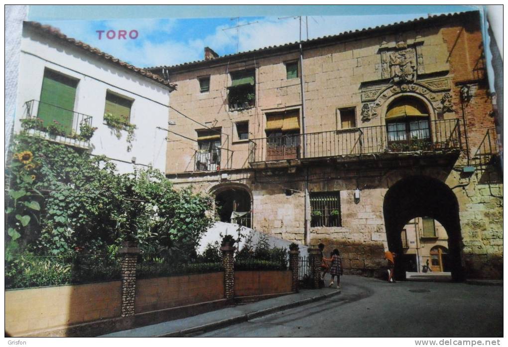 Toro Zamora - Zamora