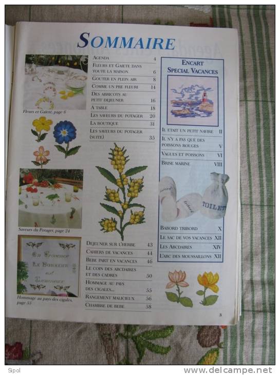 Ouvrage Broderie Juillet 97 N°17 -  66 Pages + Encart De Grille Et Diagrammes - Punto De Cruz