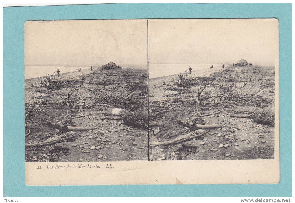 Les  Rives De La Mer  Morte. -  BELLE   CARTE  STEREO  - - Cartoline Stereoscopiche