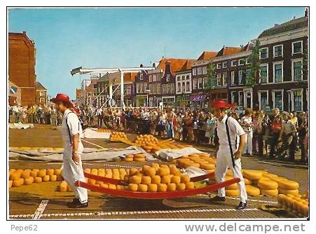 Alkmaar-kaasmarkt-porteurs De Fromage-cpm - Aalsmeer