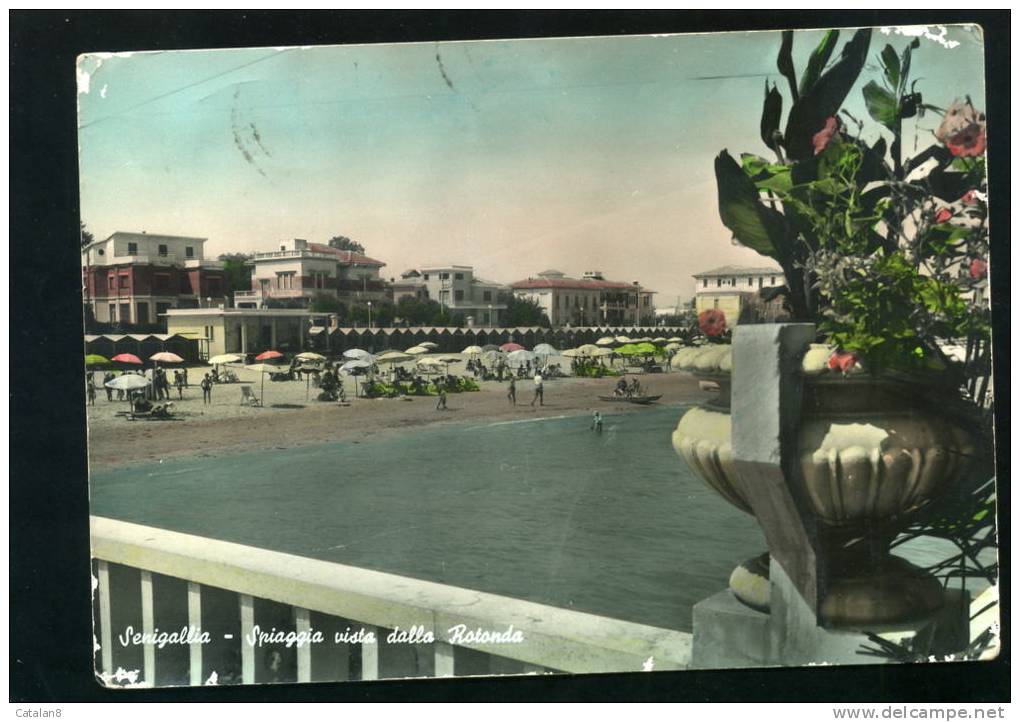 S3598 CARTOLINA ILLUSTRATA ACQUARELLATA ANCONA SENIGALLIA SPIAGGIA VISTA DALLA ROTONDA  FG. V. - Senigallia