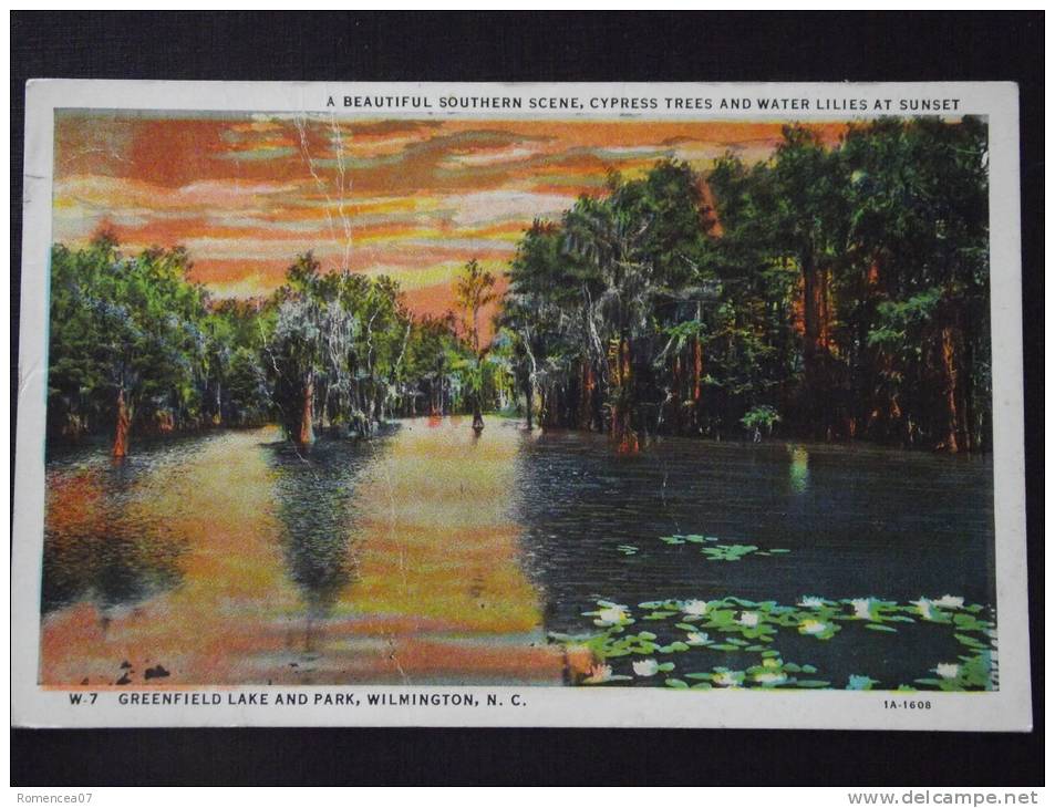 WILMINGTON (Etats-Unis) - GREENFIELD Lake And Park - A Beautiful Southern Scene, Cyprès Trees And Water Lilies At Sunset - Wilmington