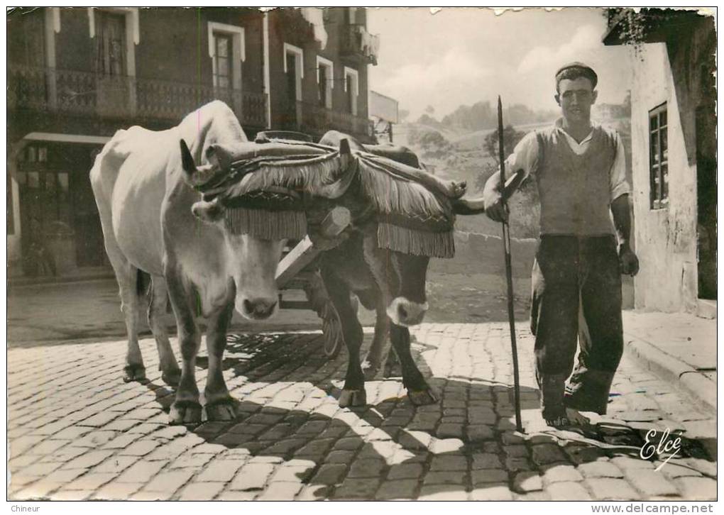 PAYS BASQUE ATTELAGE DE BOEUFS - Otros