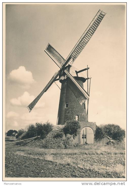 557/19 - Geillustreerde Briefkaart Molen - Ongebruikt  G285 - Postwaardestukken