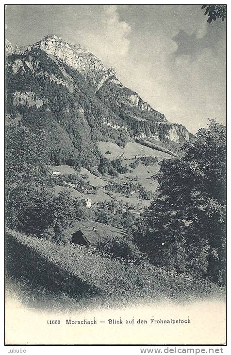 Morschach - Blick Auf Den Fronalpstock            Ca. 1910 - Morschach