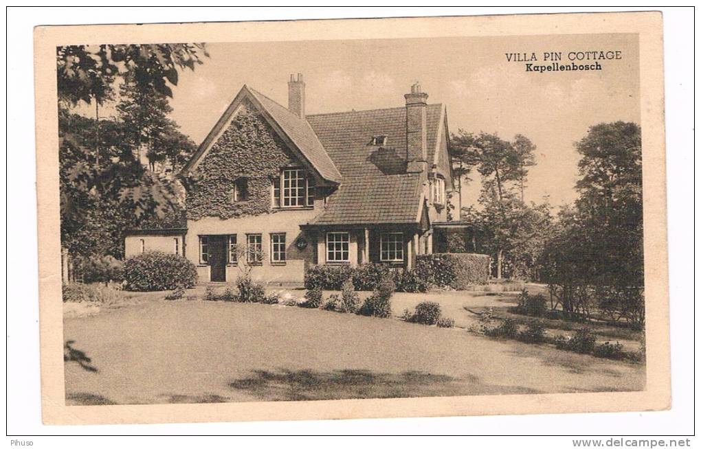 B3909     KAPELLENBOSCH : Villa Pin Cottage - Kapellen