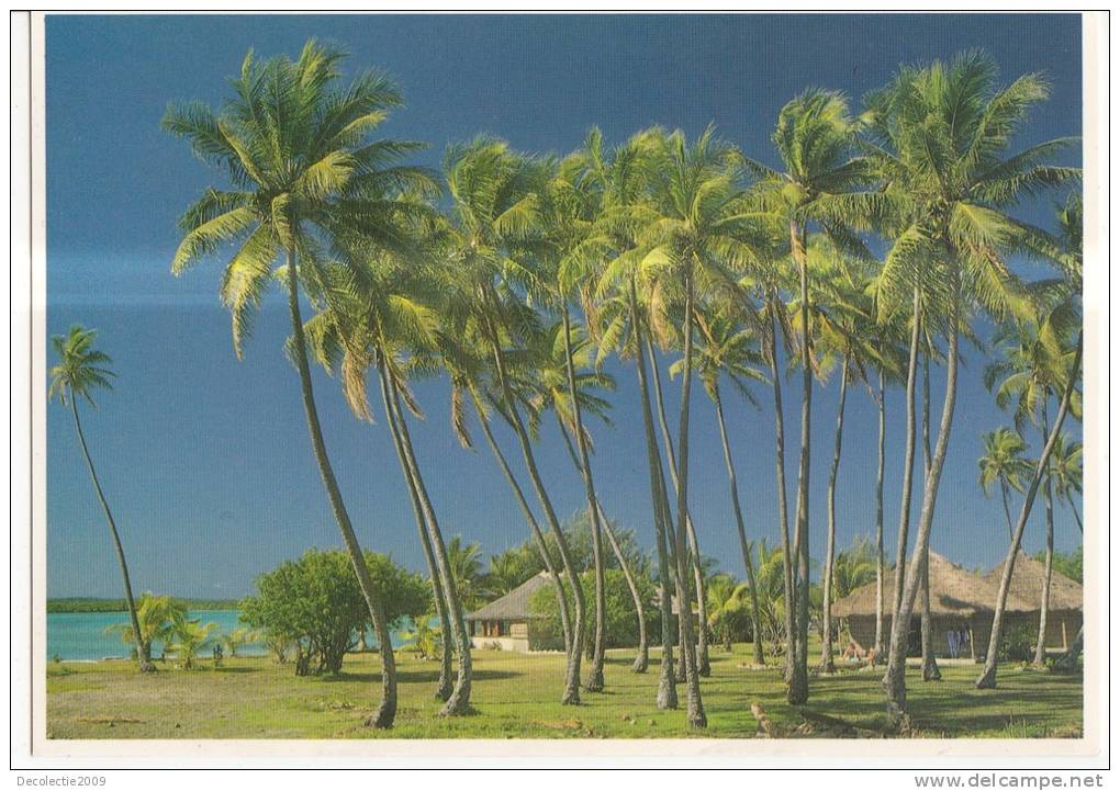 BR9044 Gite Dans Les Alizes Ils Des Pins 2 Scans Bande Blanche Du Scanner - New Caledonia