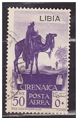 Cirenaïca- Kameelrijder - Libia