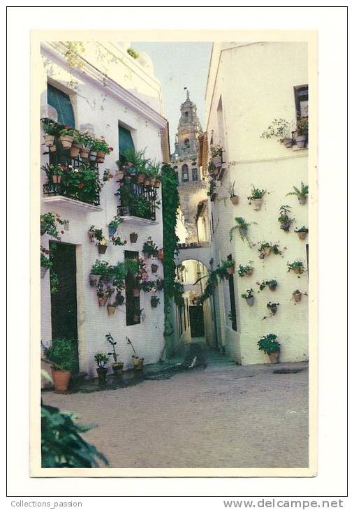 Cp, Espagne, Cordoba, Calle De Las Flores - Córdoba