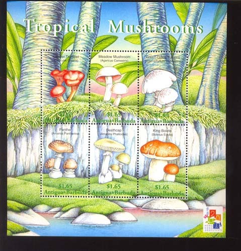 ANTIGUA & BARBUDA   2431  MINT NEVER HINGED MINI SHEET OF MUSHROOMS - Mushrooms
