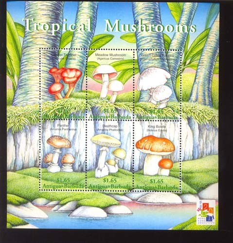 ANTIGUA & BARBUDA   2431  MINT NEVER HINGED MINI SHEET OF MUSHROOMS - Pilze