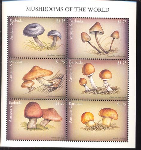 ANTIGUA & BARBUDA   2081 MINT NEVER HINGED MINI SHEET OF MUSHROOMS  # M-018   ( - Pilze