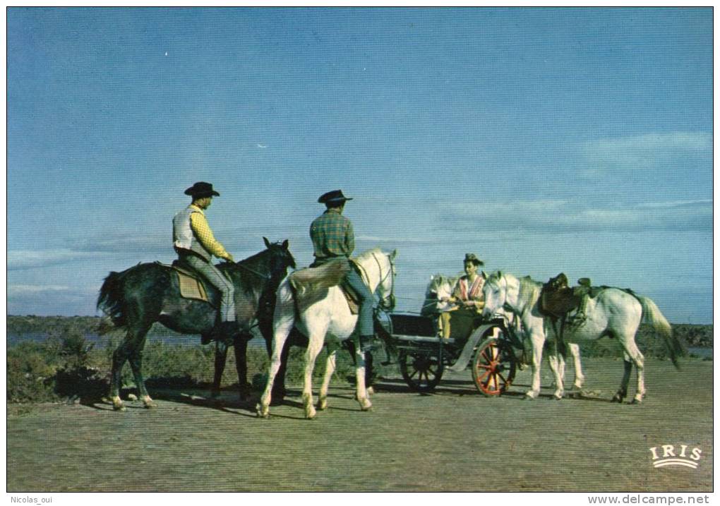 CAMARGUE Avec Les Gardians. Heureuse Rencontre - Provence-Alpes-Côte D'Azur