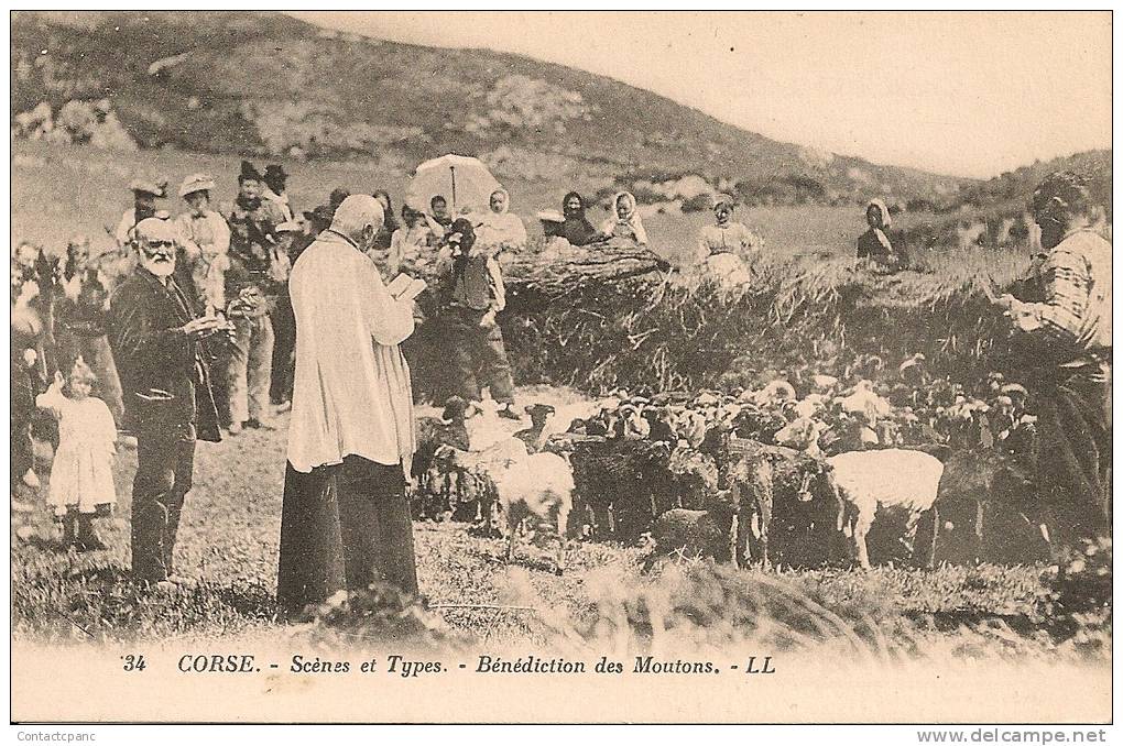 CORSE  ( 20 ) -  Scènes Et Types  - Bénédiction Des Moutons - Autres & Non Classés