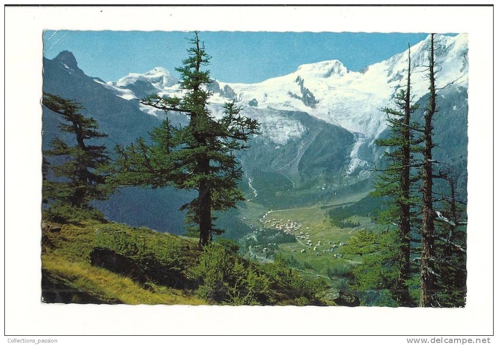 Cp, Suisse, Saas-Fee, Gegen Egginer, Allalinhorn, Alphubel Und Täschhorn, Voyagée - Saas-Fee