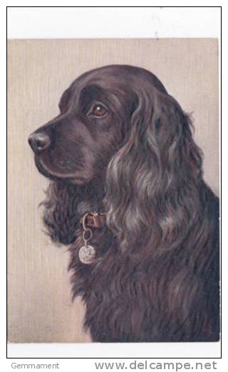 DOG POSTCARD - THE COCKER SPANIEL - Chiens