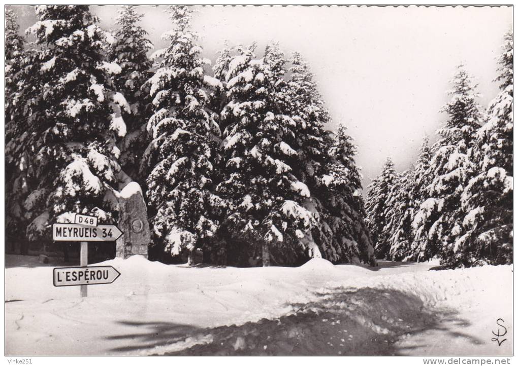 Massif De L´Aigoual Le Col Du Minier En Hiver Gard - Other & Unclassified