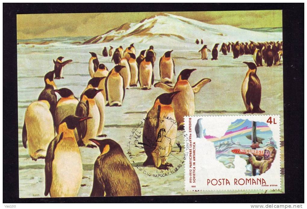 Pingouins & Manchots 1990 CM,MAXICARD,CARTES MAXIMUM,ROMANIA. - Penguins