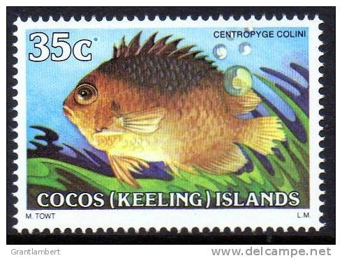 Cocos Islands 1979 Fishes 35c Cocos-keeling Angelfish MNH  SG 42 - Cocos (Keeling) Islands