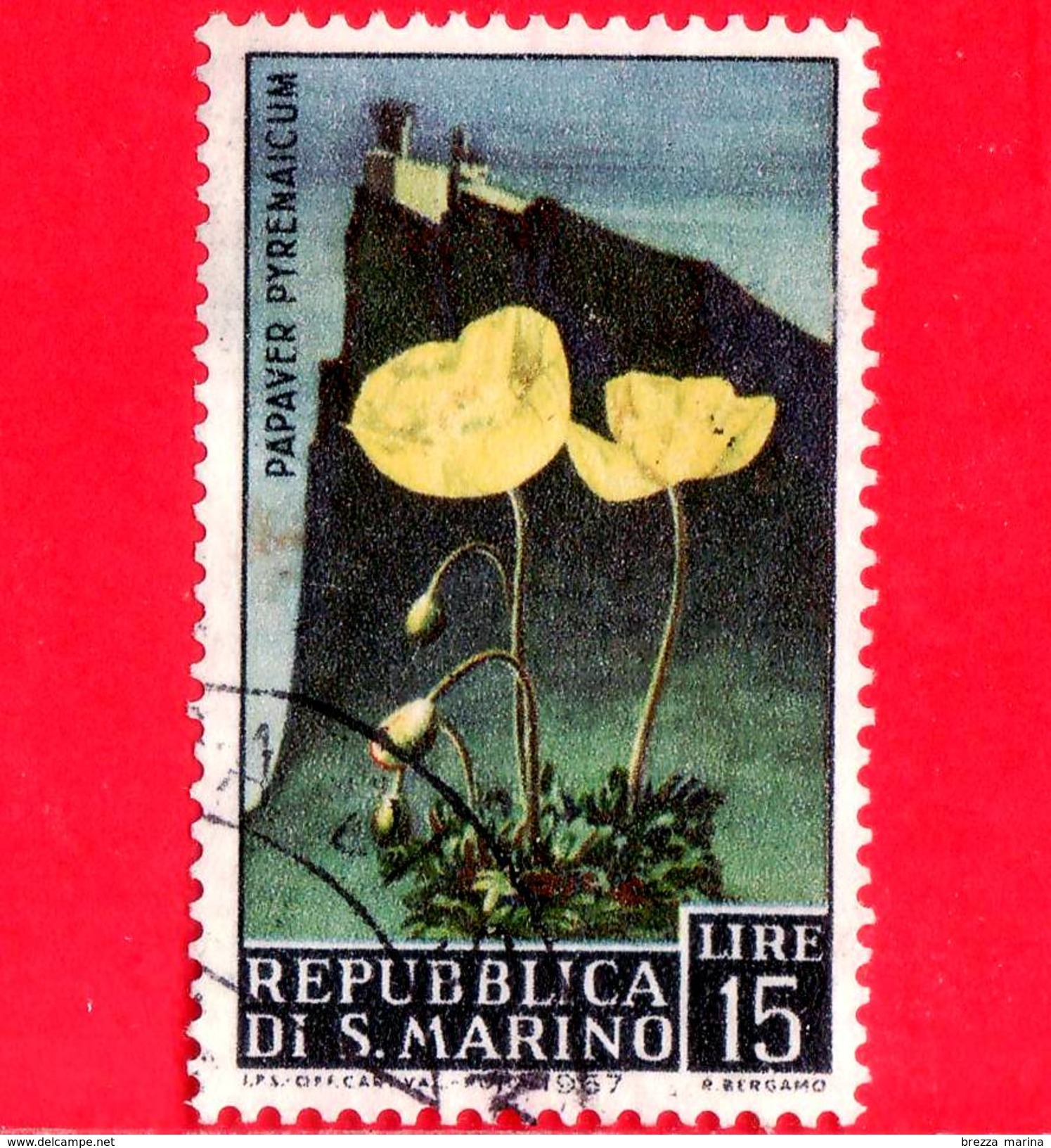 SAN MARINO - Usato - 1967 - Fiori - Flowers - Fleurs - 15 L. &bull; Papaver Pyrenaicum - Oblitérés