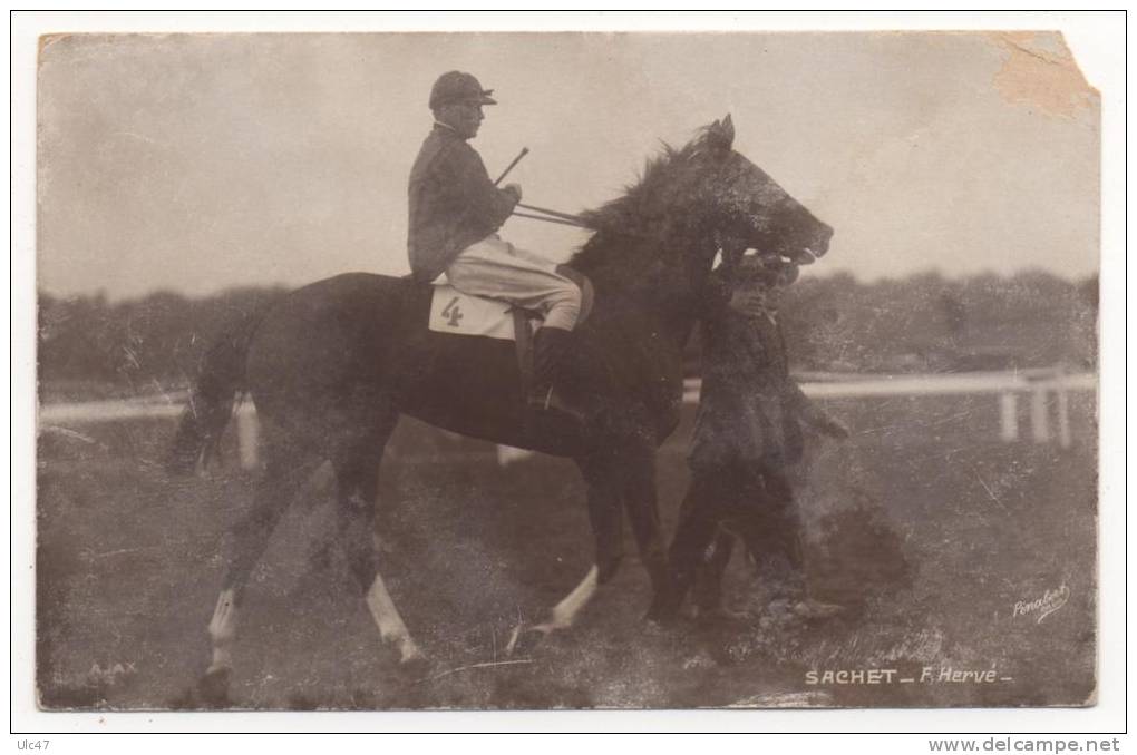 - SACHET - F. Hervé. - Photo: Pinabert. - - Equitation