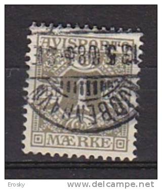 L4977 - DANEMARK DENMARK JOURNAUX NEWSPAPERS Yv N°1 - Postage Due