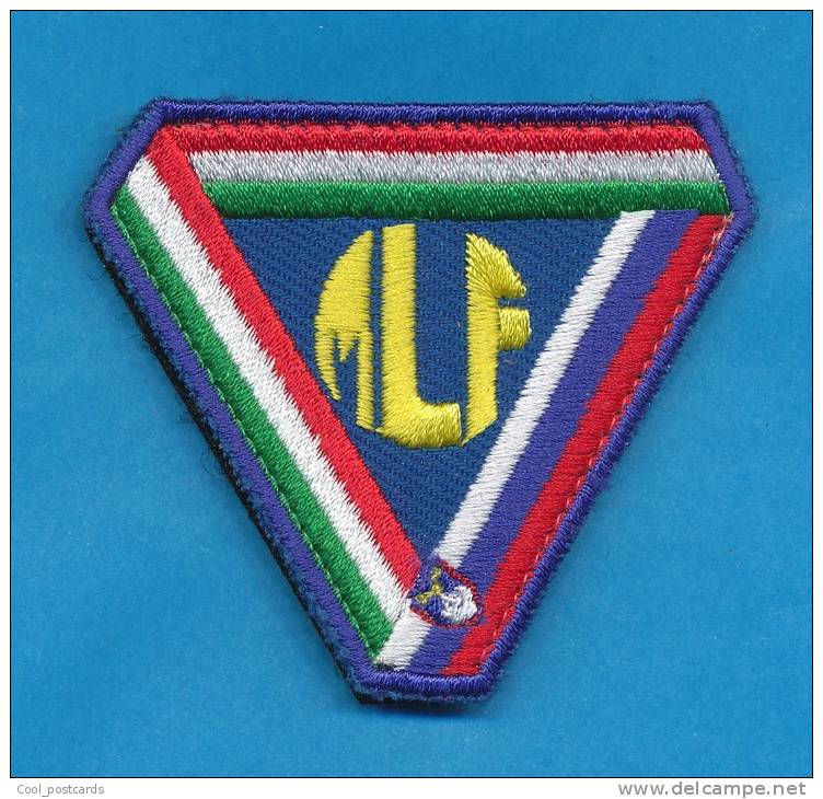 SLOVENIA, SLOVENIAN ARMY SLEEVE PATCH, MLF, MULTINATIONAL LAND FORCES, SLOVENIA ITALY & HUNGARY - Escudos En Tela