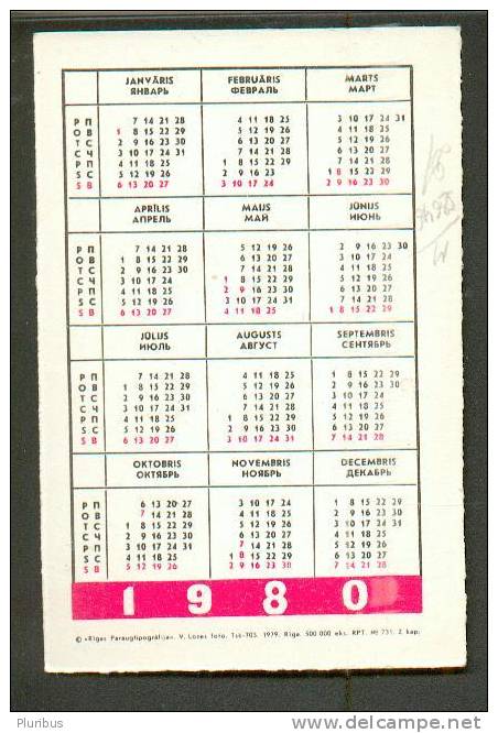 USSR  RUSSIA  POCKET CALENDAR  1980  SIAMESE  CAT - Small : 1971-80