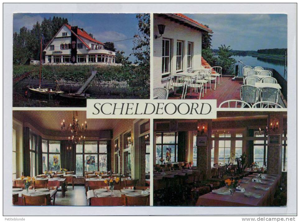 (I586) - Café-Restaurant Scheldeoord - Driegoten 95 - 9160 Hamme - Hamme